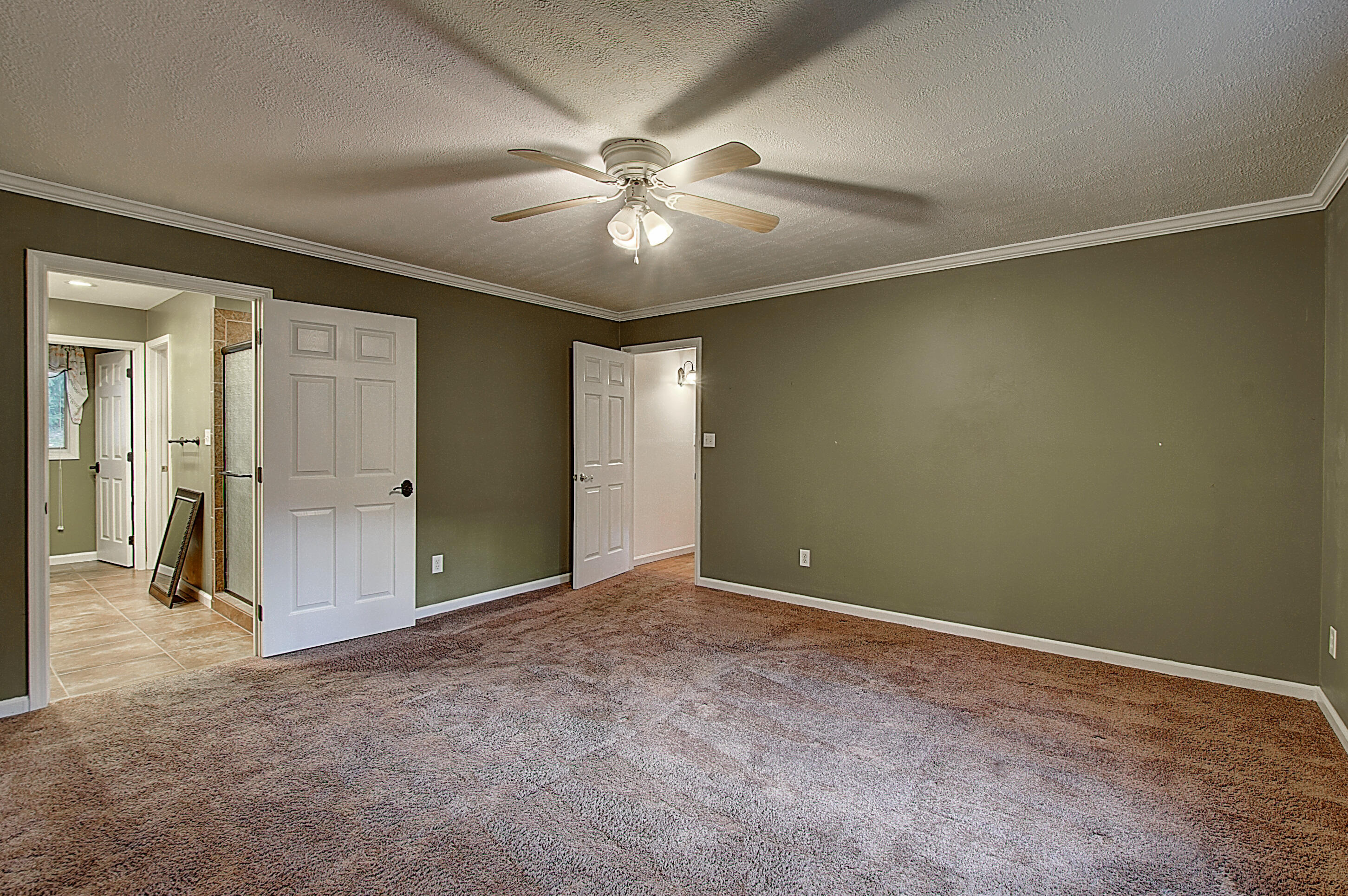 245 Buffalo Ridge Road Gray, TN 37615 - Photo 53 of 53 DSC_0136And8more_1