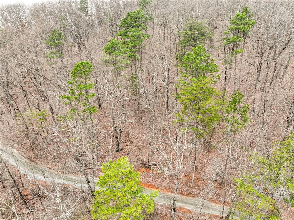 Lot 1 Mount Mincie Road Murrayville, GA 30564 - Photo 11 of 18 a plant that is in front of flowers