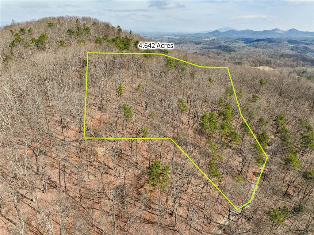 Lot 1 Mount Mincie Road Murrayville, GA 30564 - Photo 13 of 18 a view of a dry yard