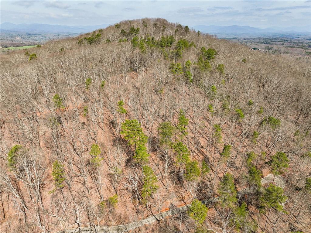 Lot 1 Mount Mincie Road Murrayville, GA 30564 - Photo 14 of 18 a view of a dry yard