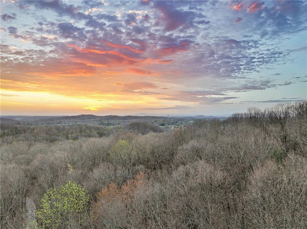 Lot 1 Mount Mincie Road Murrayville, GA 30564 - Photo 15 of 18