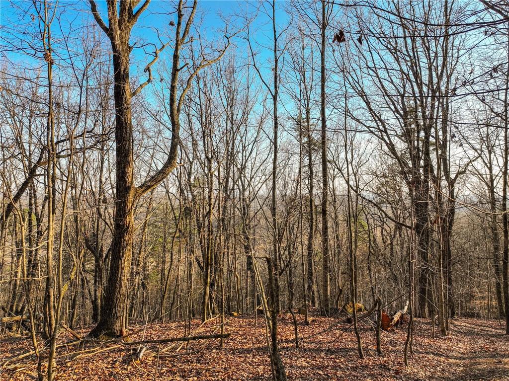 Lot 1 Mount Mincie Road Murrayville, GA 30564 - Photo 16 of 18 a backyard of a house with lots of green space