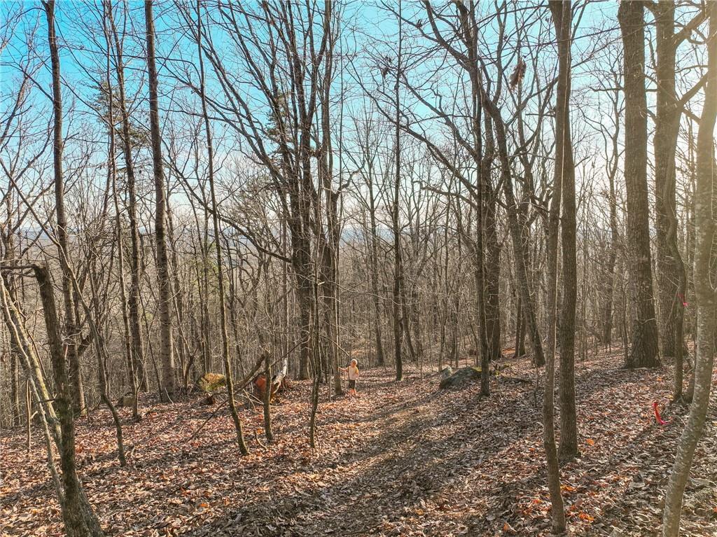 Lot 1 Mount Mincie Road Murrayville, GA 30564 - Photo 17 of 18 a view of outdoor space with lots of trees