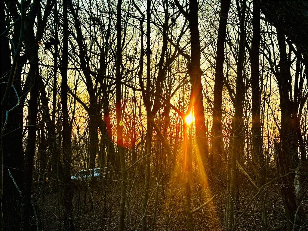 Lot 1 Mount Mincie Road Murrayville, GA 30564 - Photo 2 of 18