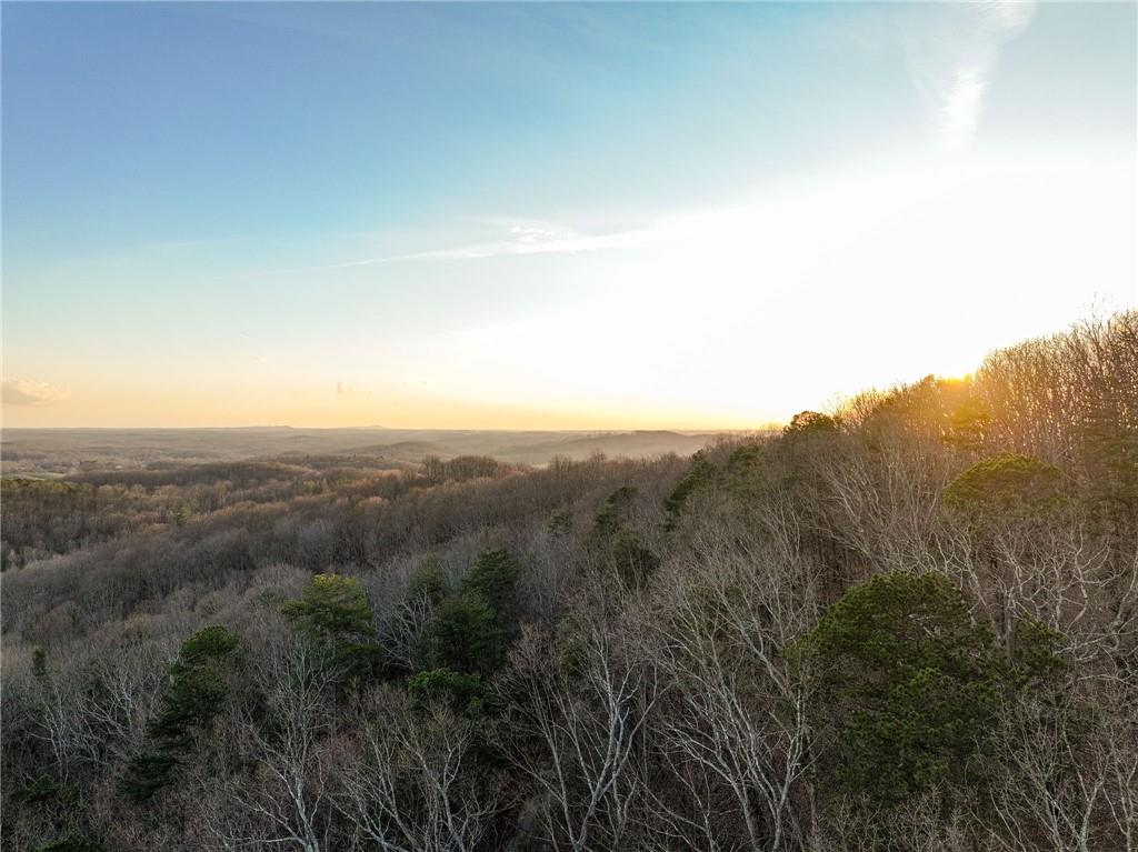 Lot 1 Mount Mincie Road Murrayville, GA 30564 - Photo 3 of 18 a view of a forest with mountains in the background