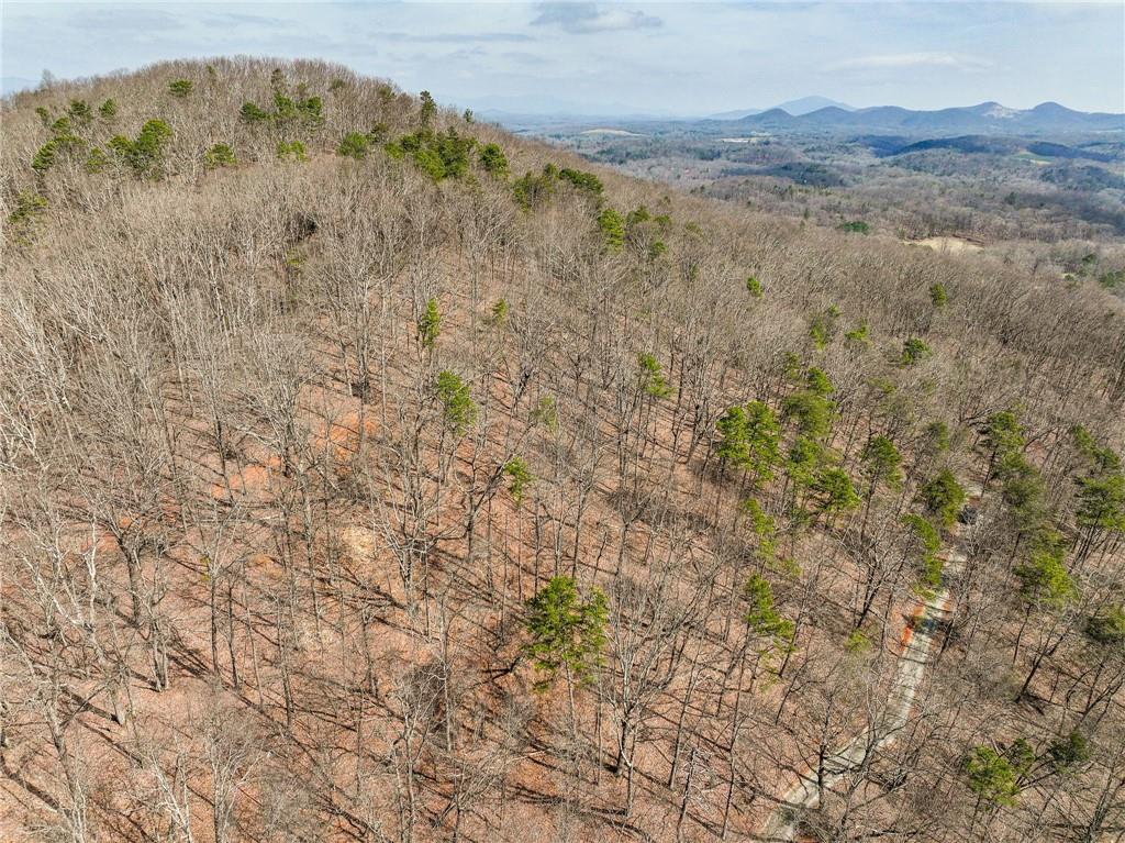 Lot 1 Mount Mincie Road Murrayville, GA 30564 - Photo 4 of 18 a view of a dry field with mountains in the background