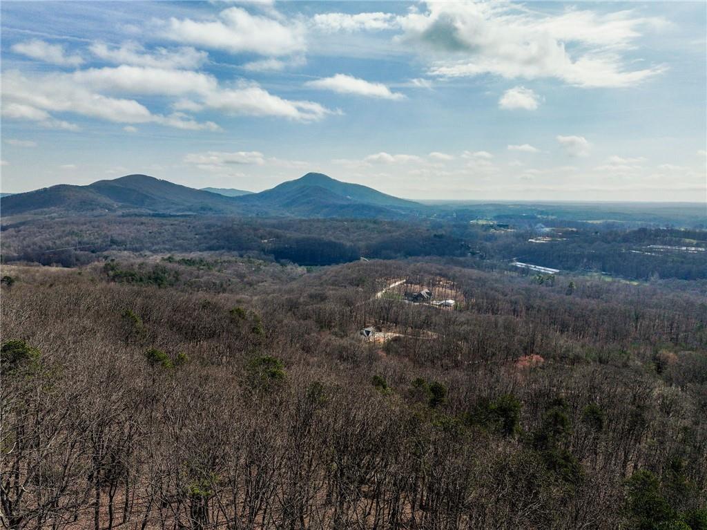 Lot 1 Mount Mincie Road Murrayville, GA 30564 - Photo 5 of 18 a view of a city with mountain