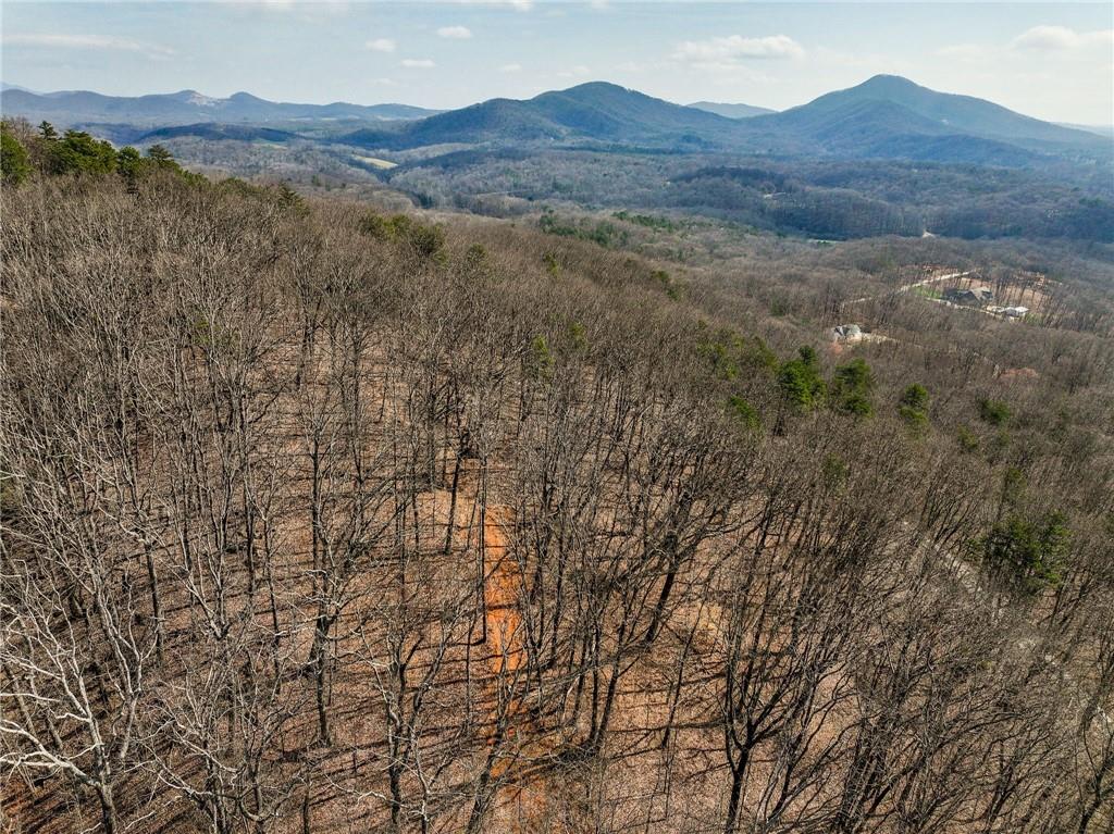 Lot 1 Mount Mincie Road Murrayville, GA 30564 - Photo 6 of 18 a view of mountains in middle of forest