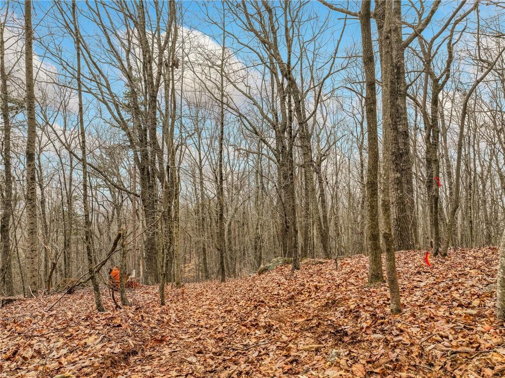Lot 1 Mount Mincie Road Murrayville, GA 30564 - Photo 7 of 18 a backyard of a house with lots of green space