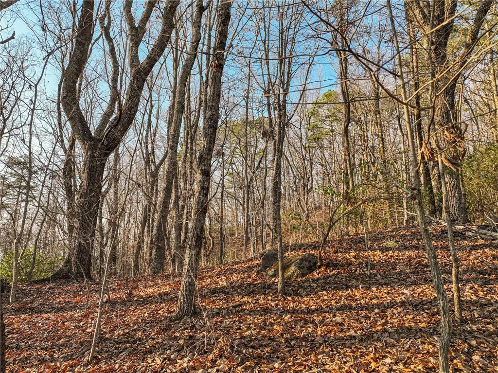 Lot 1 Mount Mincie Road Murrayville, GA 30564 - Photo 9 of 18 a backyard of a house with lots of green space