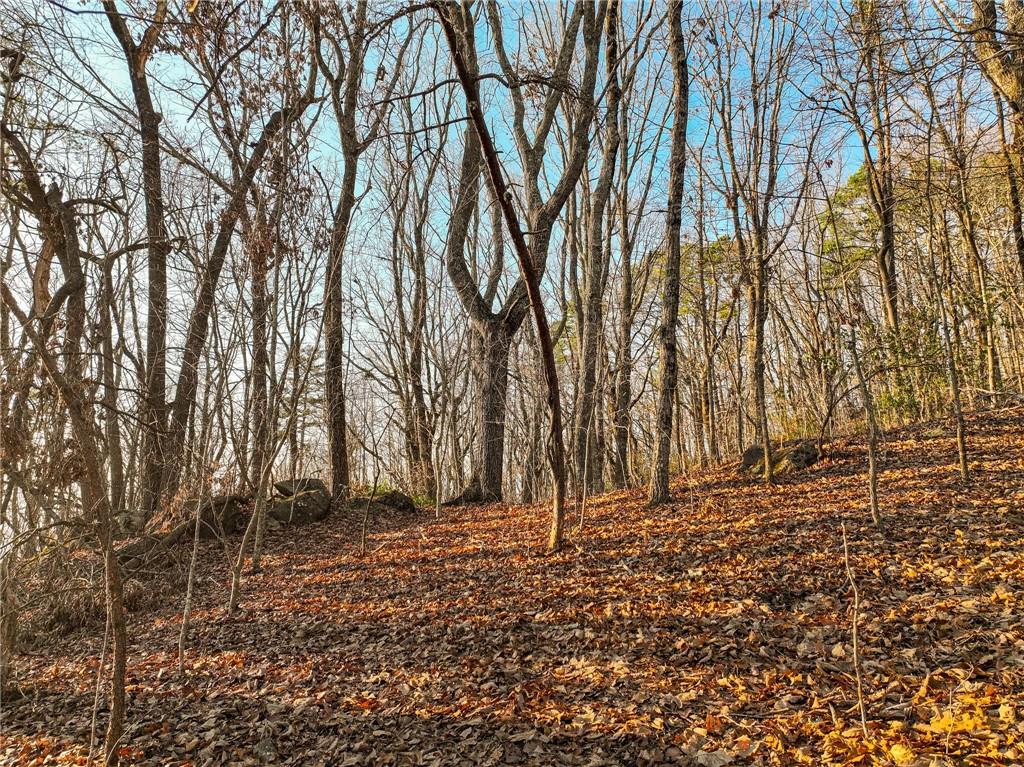 Lot 1 Mount Mincie Road Murrayville, GA 30564 - Photo 10 of 18 a view of outdoor space with deck and tree