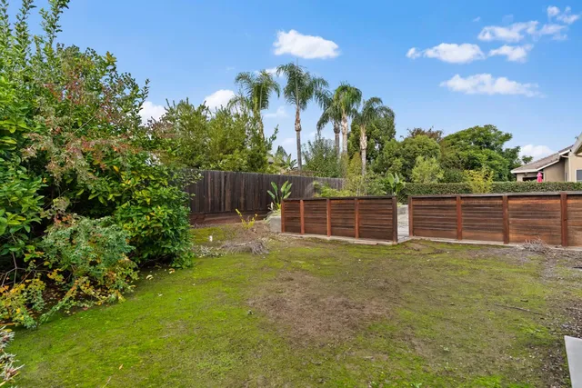 a view of a backyard with potted plants and large tree