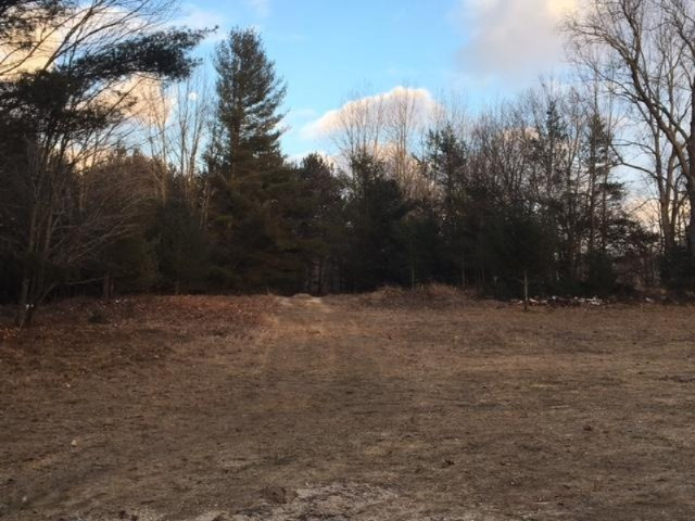 10660 Lakola Road Reed City, MI 49677 - Photo 3 of 20 IMG_4337