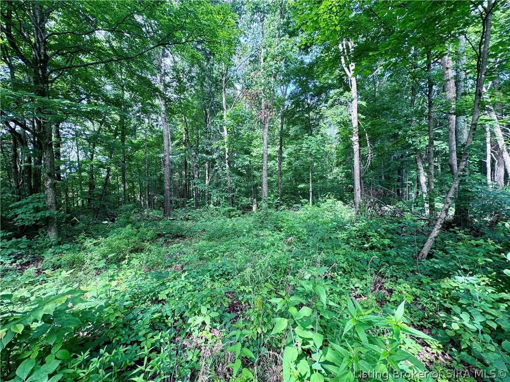 9462 East Saylor Road Salem, IN 47167 - Photo 39 of 50