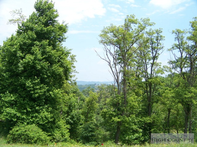 Lot 4 Chapel Hills Road Boone, NC 28607 - Photo 1 of 1 Gallery Image 1