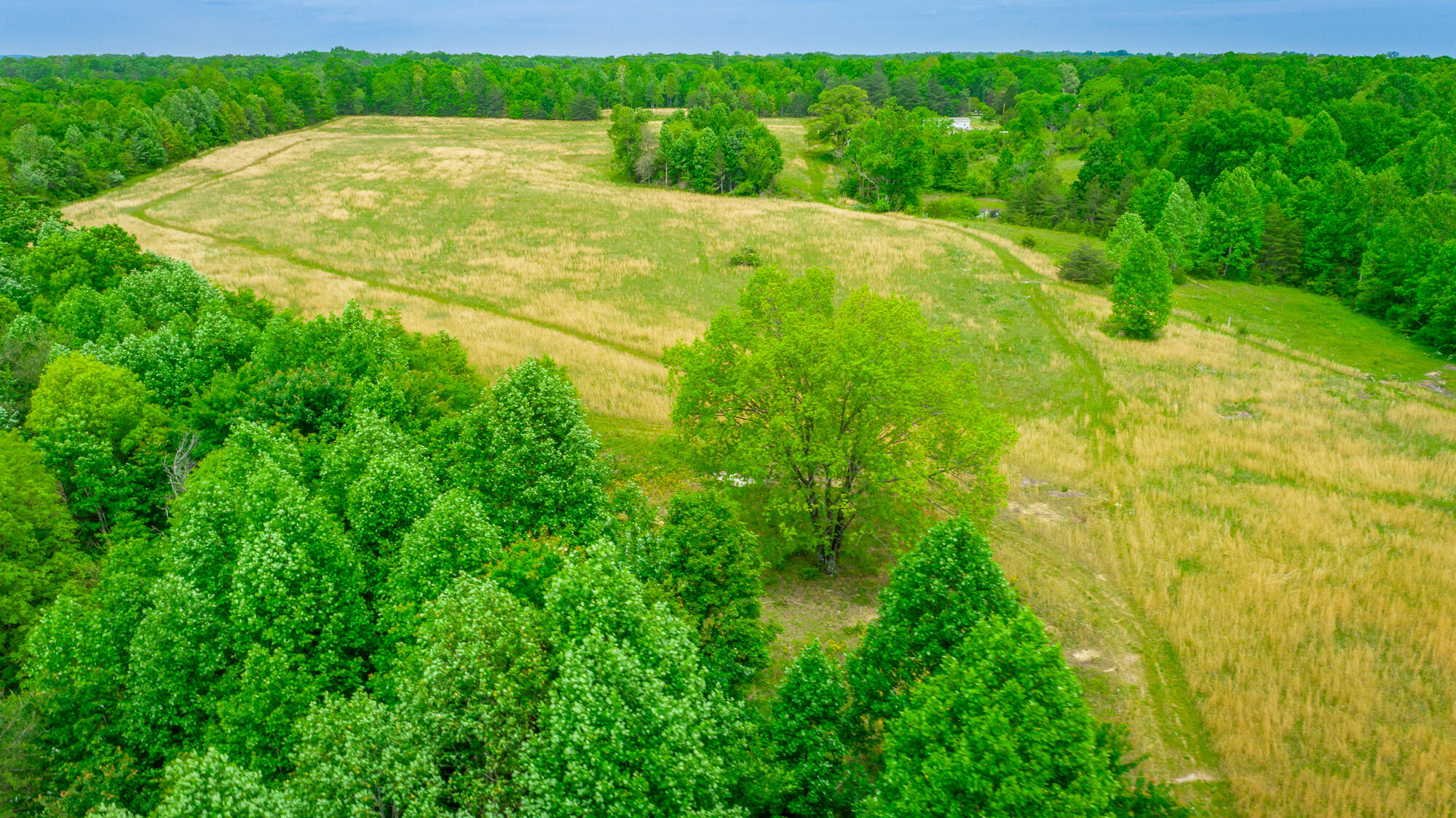 0 Ray Gadd Road Graysville, TN 37338 - Photo 94 of 109 Ray Gadd Road Lot HD-119