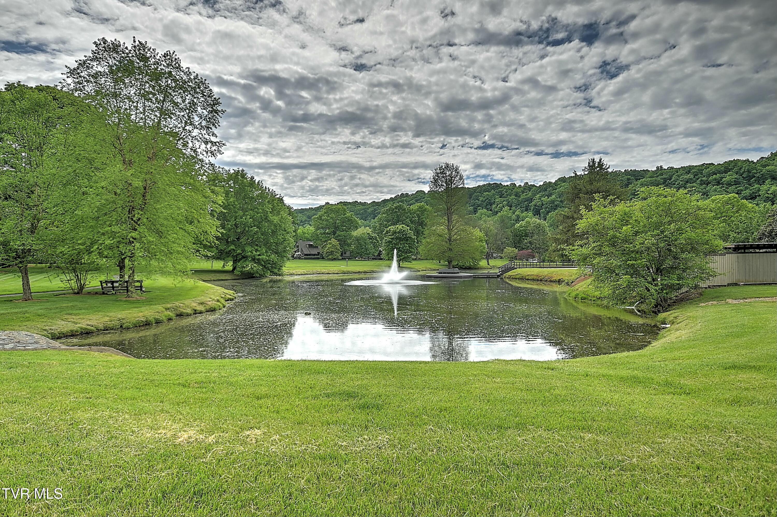 159 Columbine Road Kingsport, TN 37660 - Photo 81 of 108 tempImagelzFJTD