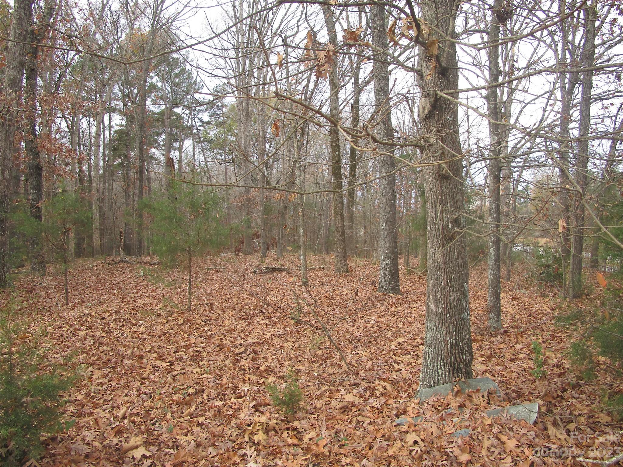 3508 Highway 74 Monroe, NC 28112 - Photo 11 of 28 a backyard of a house with lots of green space