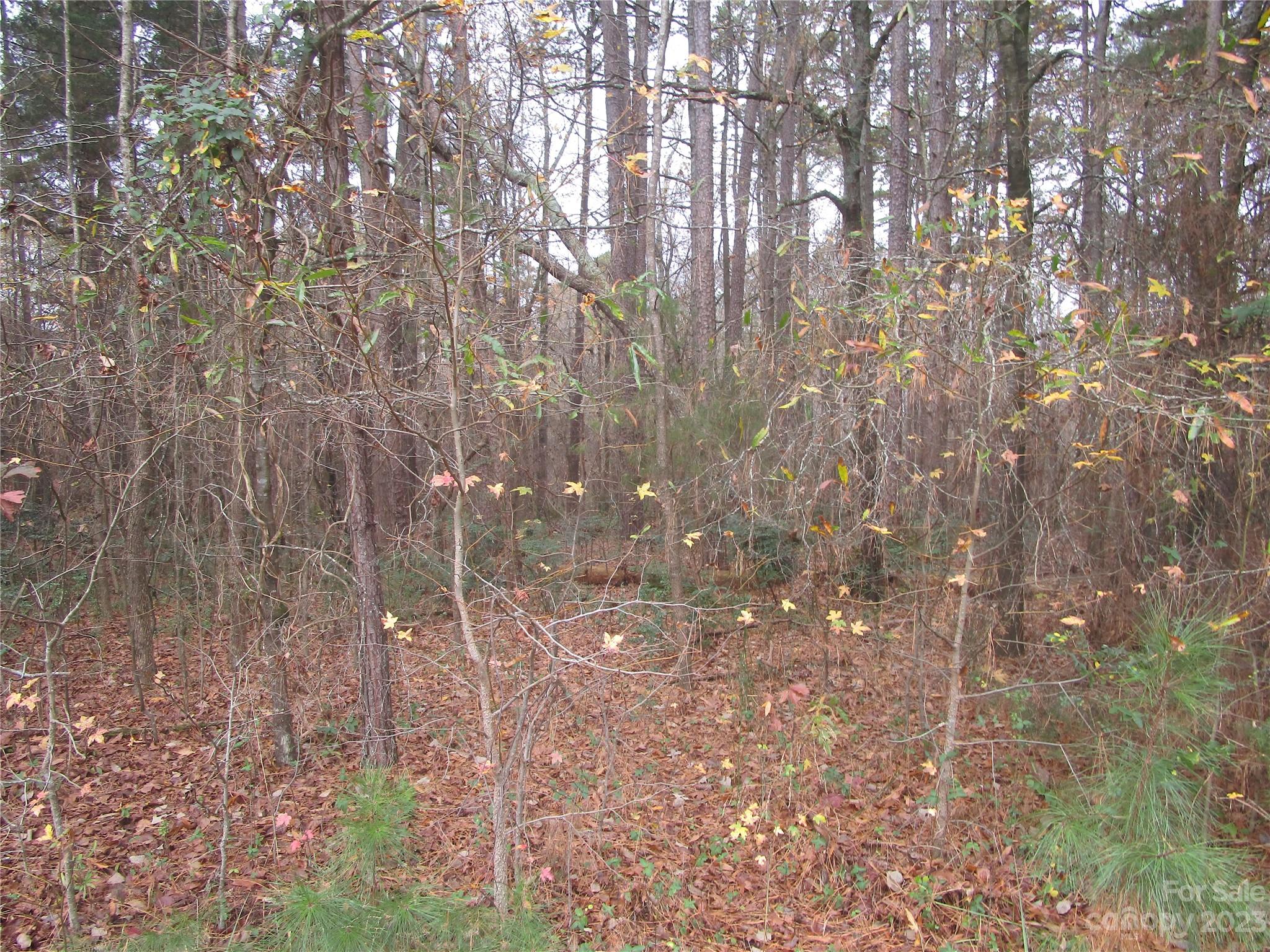 3508 Highway 74 Monroe, NC 28112 - Photo 16 of 28