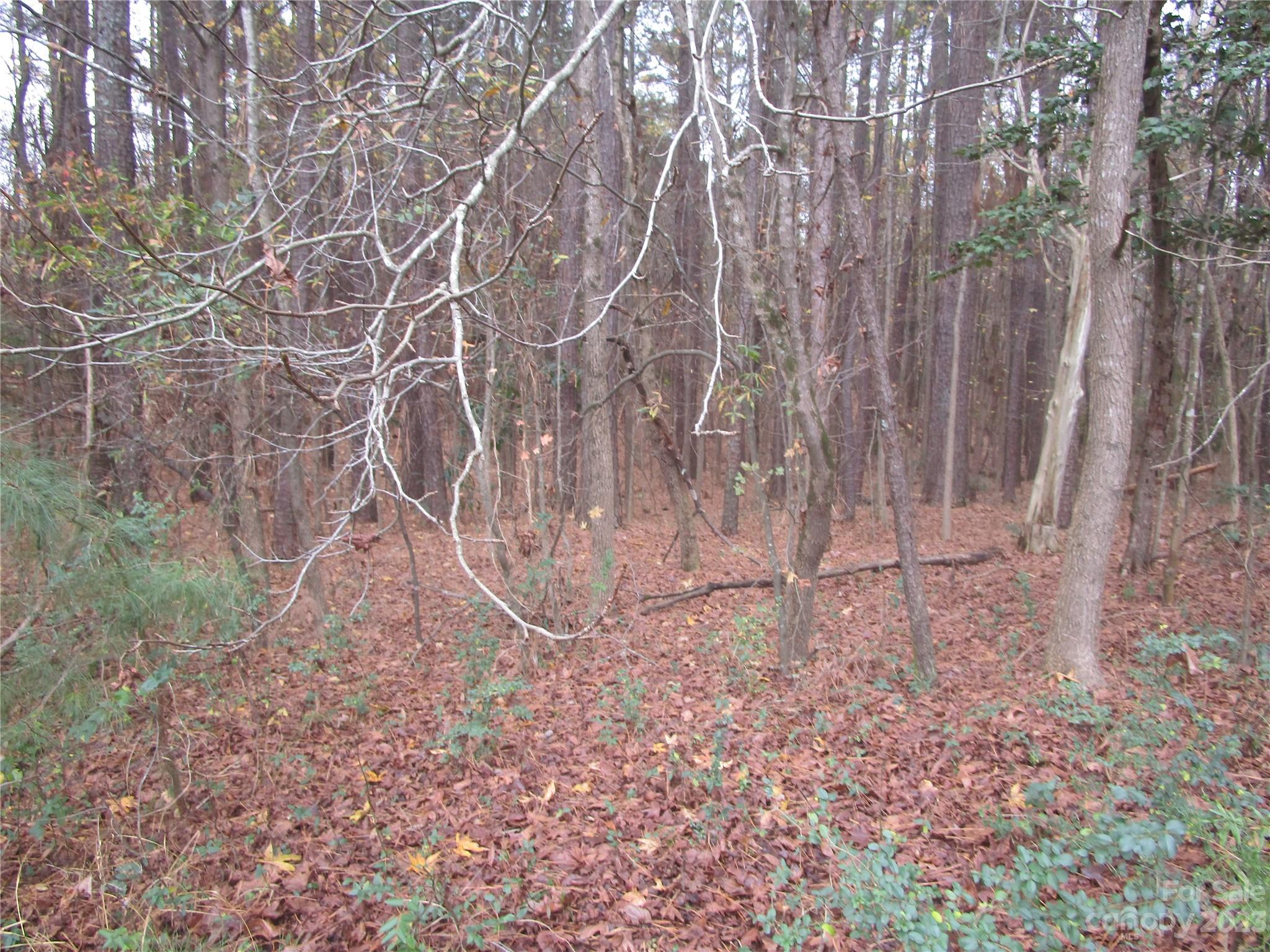 3508 Highway 74 Monroe, NC 28112 - Photo 17 of 28 a backyard of a house with lots of green space