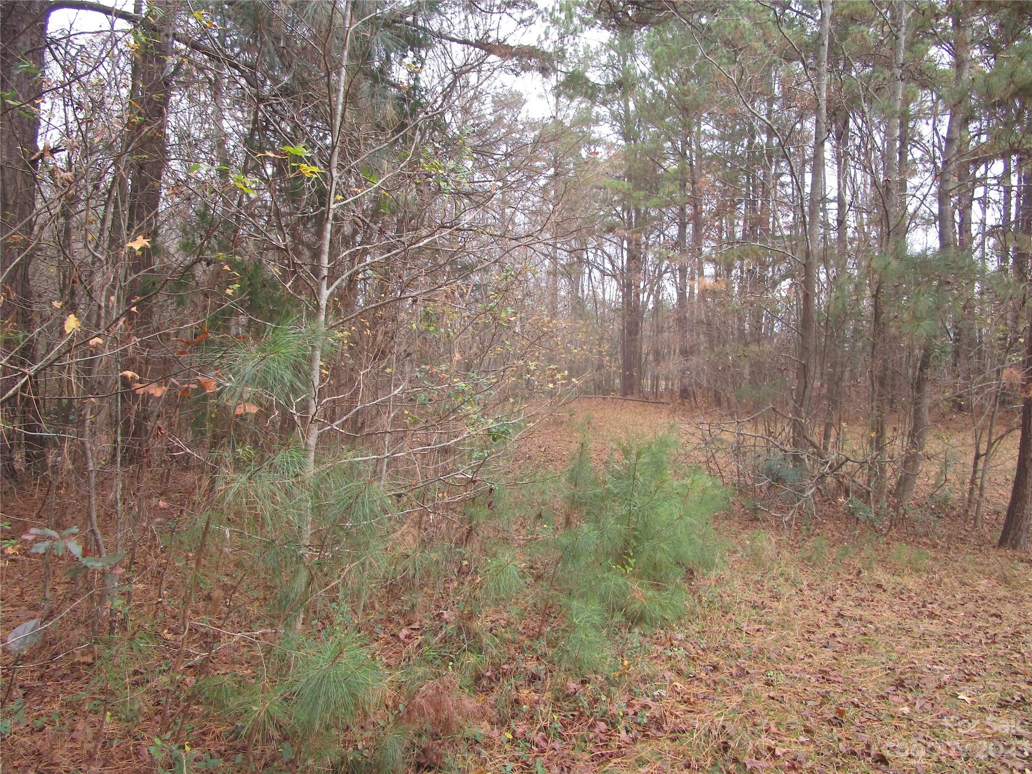 3508 Highway 74 Monroe, NC 28112 - Photo 22 of 28 a backyard of a house with lots of green space