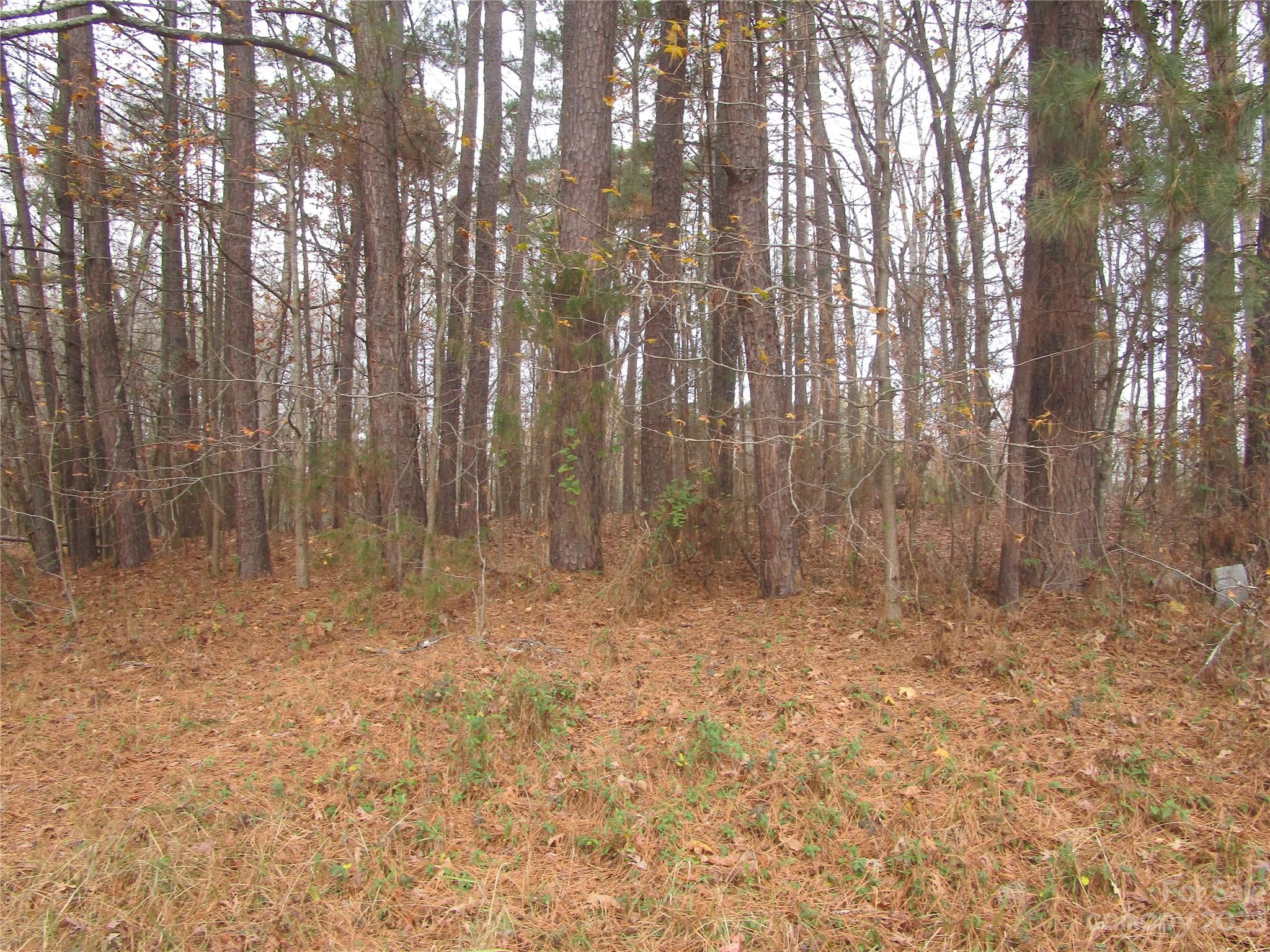 3508 Highway 74 Monroe, NC 28112 - Photo 23 of 28 a view of room with trees