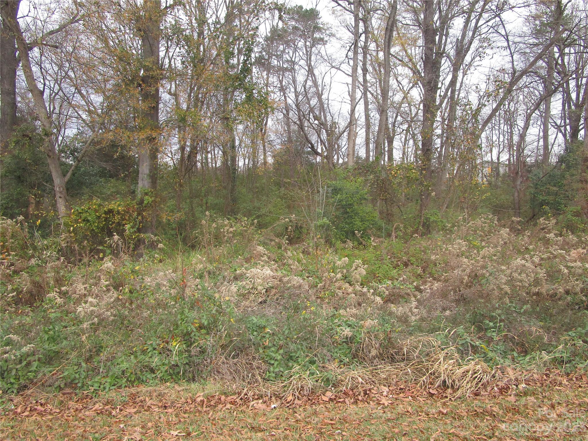 3508 Highway 74 Monroe, NC 28112 - Photo 24 of 28 a view of a forest with trees in the background
