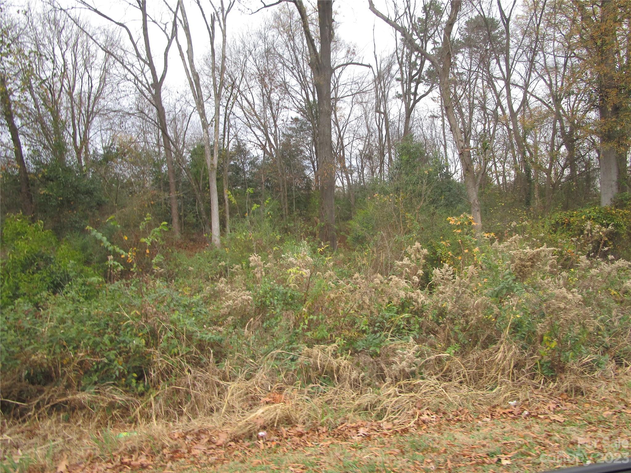 3508 Highway 74 Monroe, NC 28112 - Photo 25 of 28 a backyard of a house with lots of green space