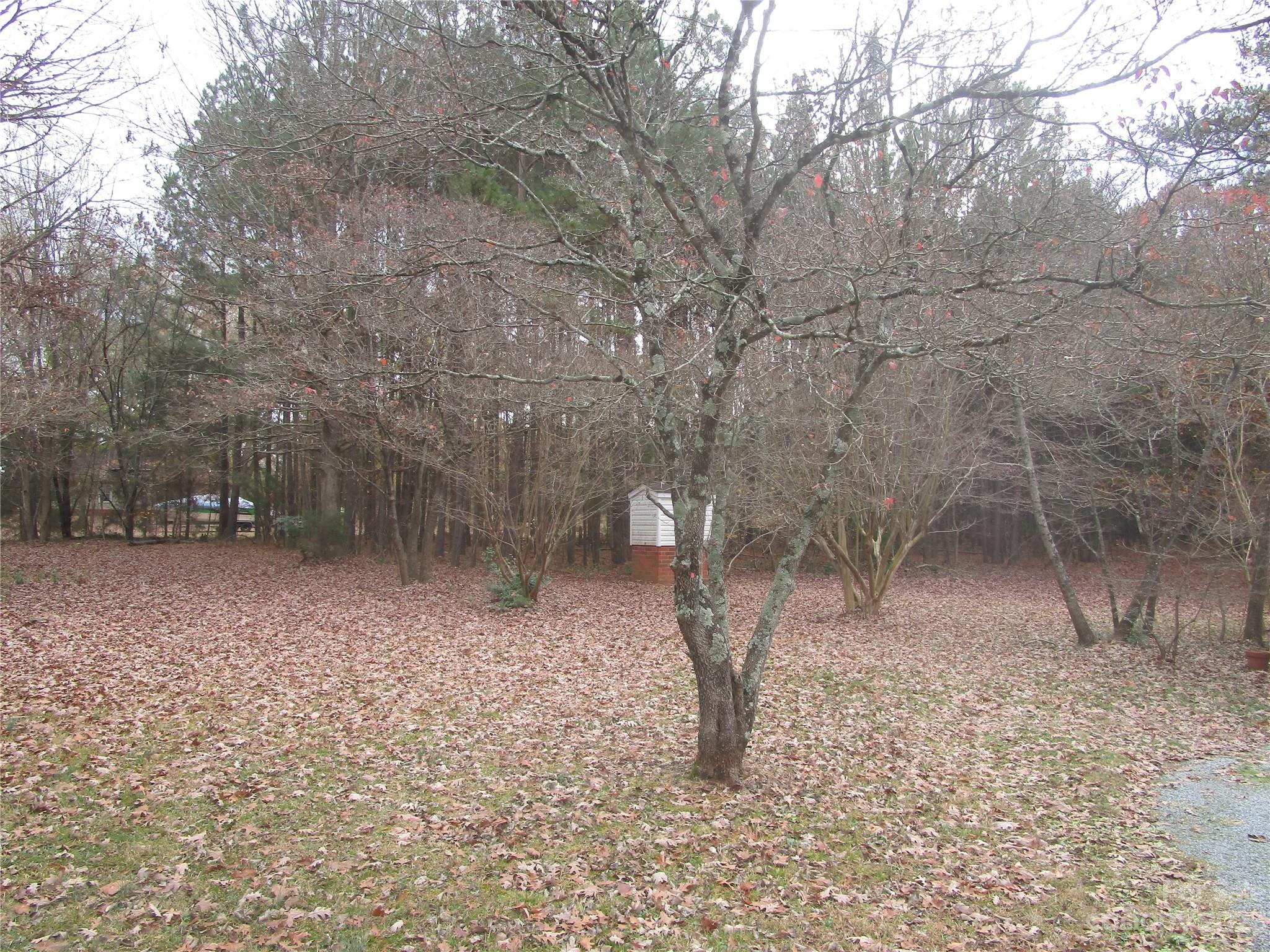 3508 Highway 74 Monroe, NC 28112 - Photo 27 of 28 a backyard of a house with lots of green space