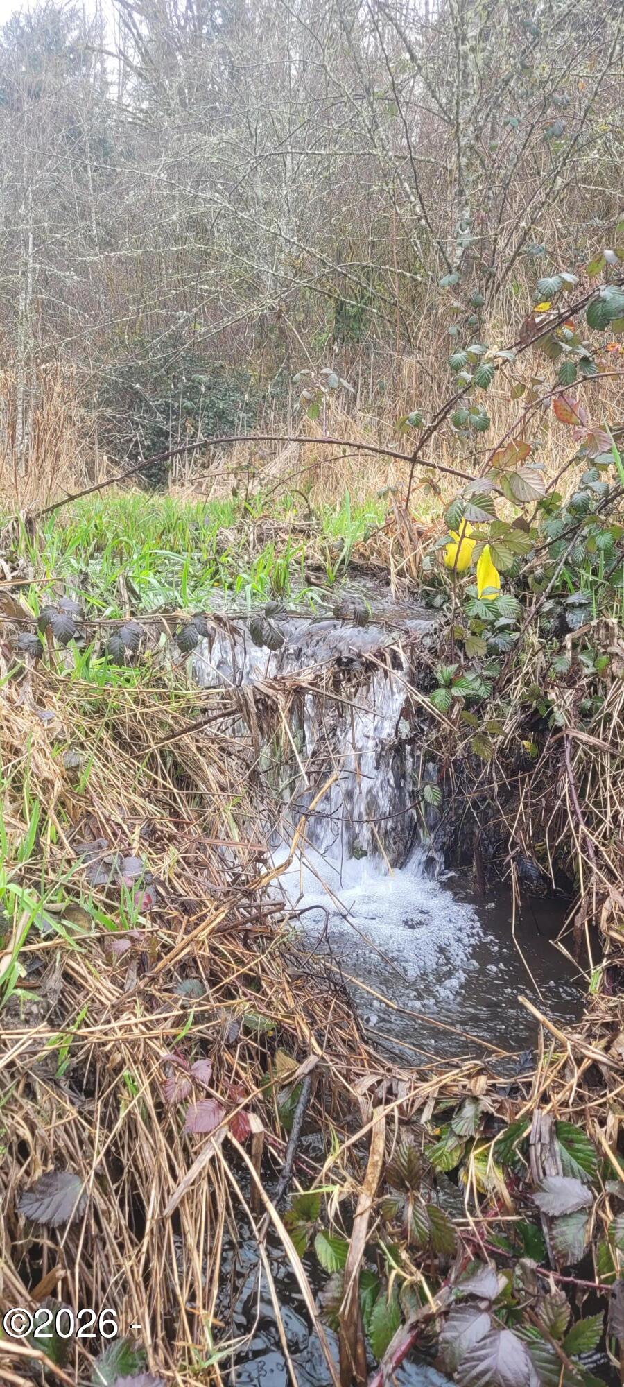 320 Northeast Sturdevant Road Toledo, OR 97391 - Photo 14 of 15 320 NE Sturdevant Creek