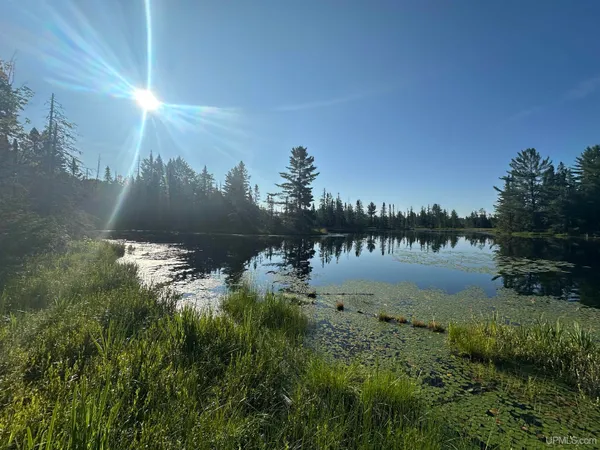 $1,490,000 | Lake Arvid Lake Arvid Off Indian Lake Road, Champion, MI 49814