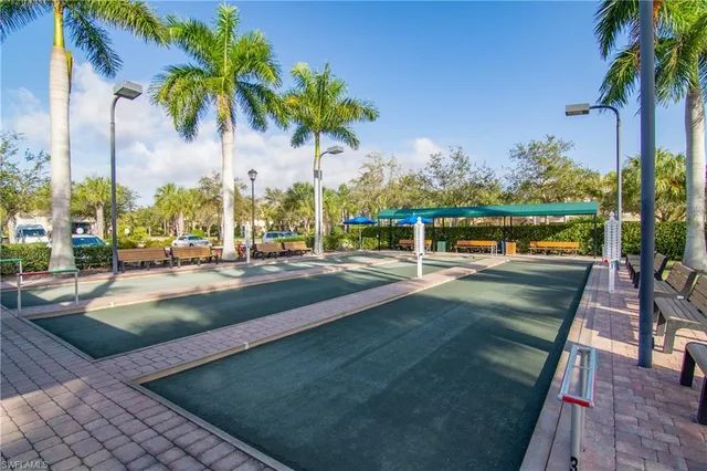 a view of lake with palm trees