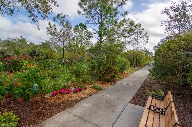 a view of a garden with flowers