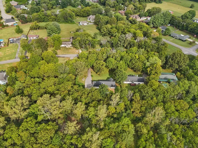 a view of a livingroom with a ceiling fan and window