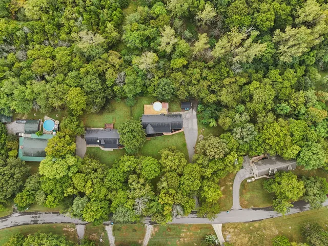 a view of a livingroom with wooden floor a ceiling fan and windows