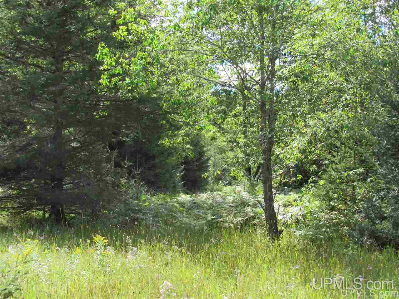 Tbd Tbd Off Stagecoach Road Michigamme, MI 49861 - Photo 22 of 37