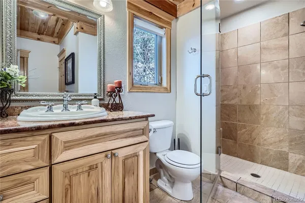 a bathroom with a sink a toilet and shower