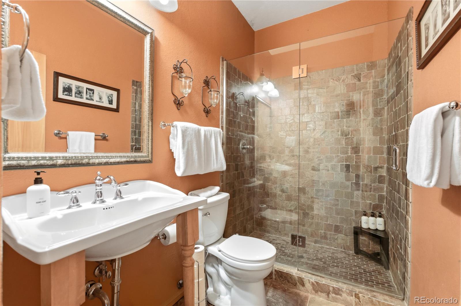9659 South Turkey Creek Road Morrison, CO 80465 - Photo 39 of 49 a bathroom with a sink toilet and shower