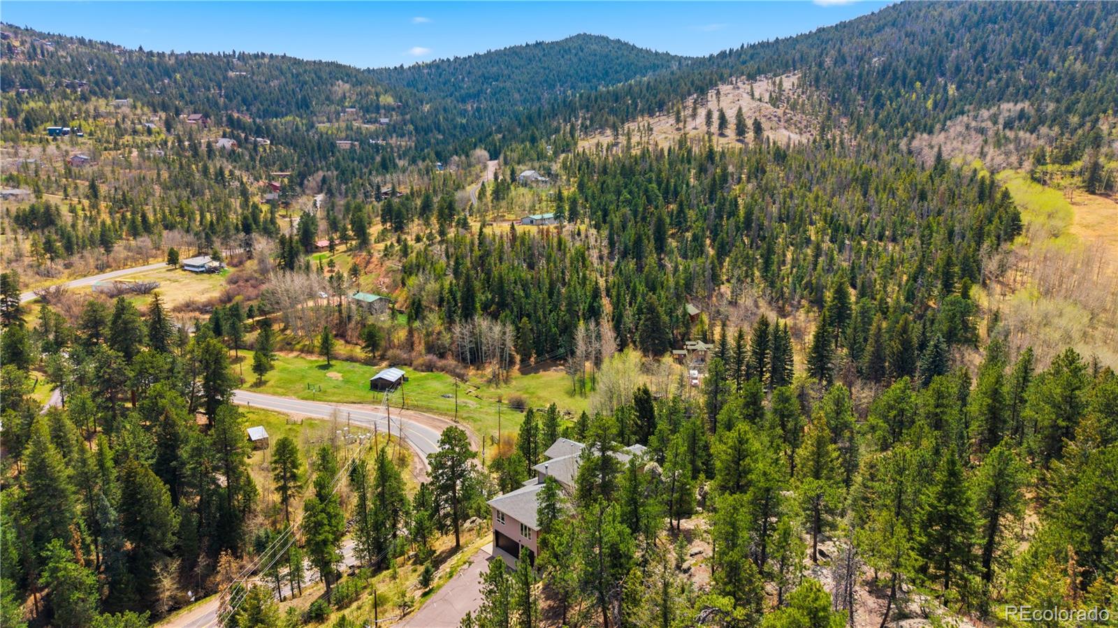 9659 South Turkey Creek Road Morrison, CO 80465 - Photo 44 of 49 a view of a yard with a tree