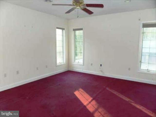 Interior (General)