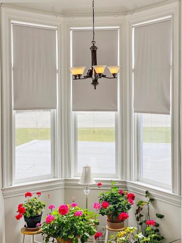 110 Akenside Road Riverside, IL 60546 - Photo 9 of 29 a view of a living room with a window and flowers