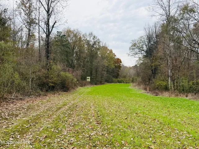 $246,750 | 1445 Parsons Road, Raymond, MS 39154