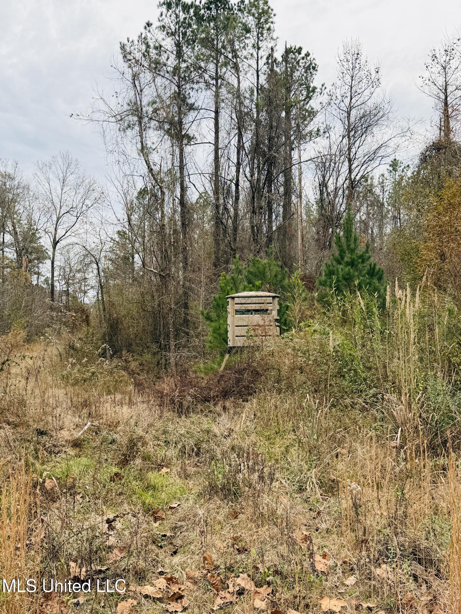 1445 Parsons Road Raymond, MS 39154 - Photo 11 of 56 Photo Dec 17 2025, 3 53 41 PM