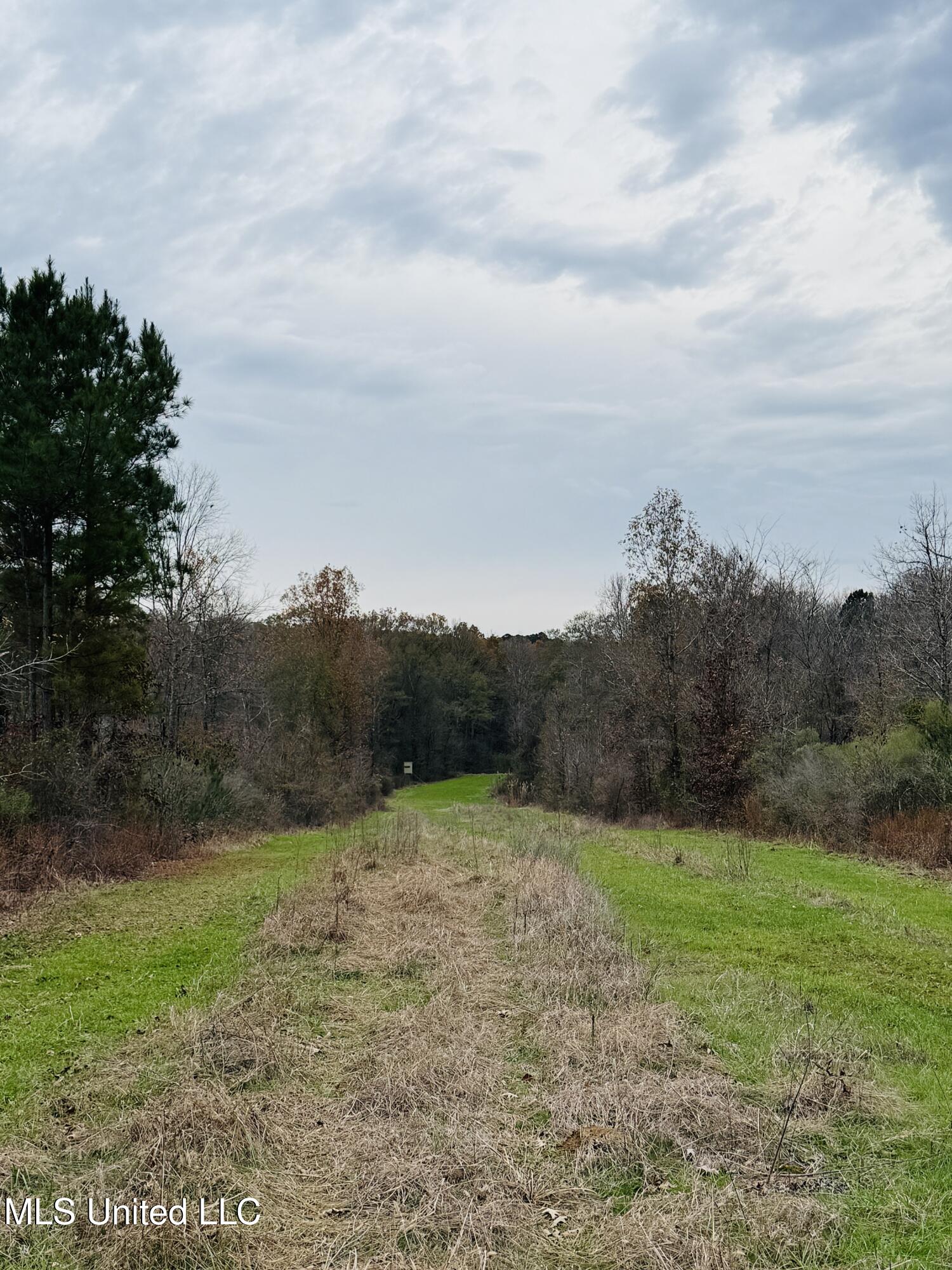 1445 Parsons Road Raymond, MS 39154 - Photo 12 of 56 Photo Dec 17 2025, 3 55 25 PM