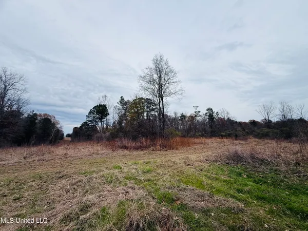 $246,750 | 1445 Parsons Road, Raymond, MS 39154