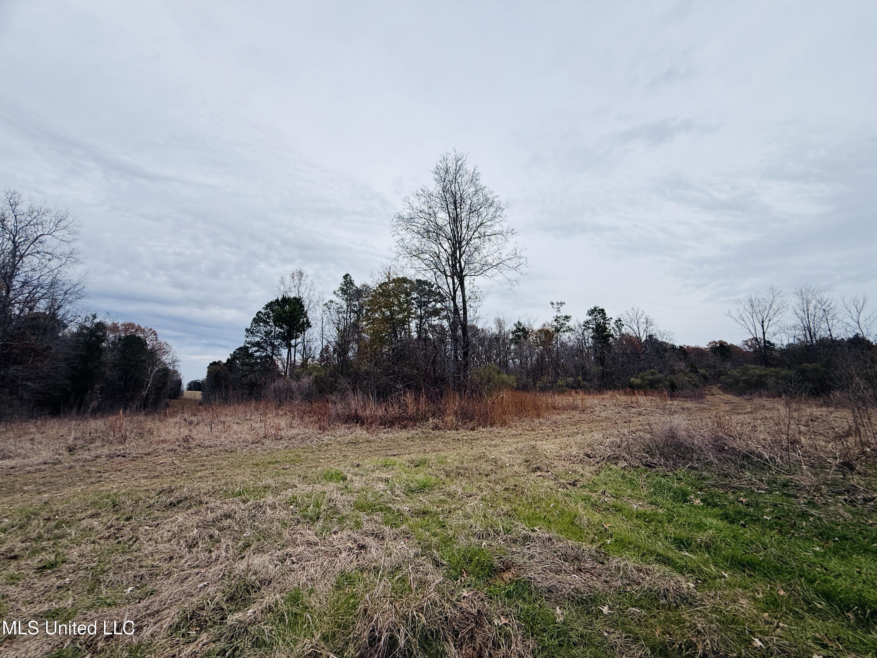 1445 Parsons Road Raymond, MS 39154 - Photo 13 of 56 Photo Dec 17 2025, 3 55 30 PM