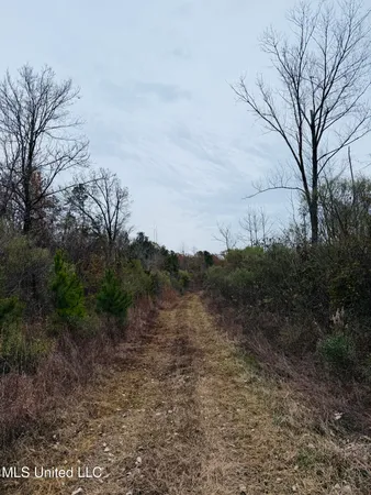 $246,750 | 1445 Parsons Road, Raymond, MS 39154