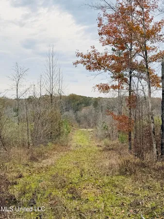 $246,750 | 1445 Parsons Road, Raymond, MS 39154