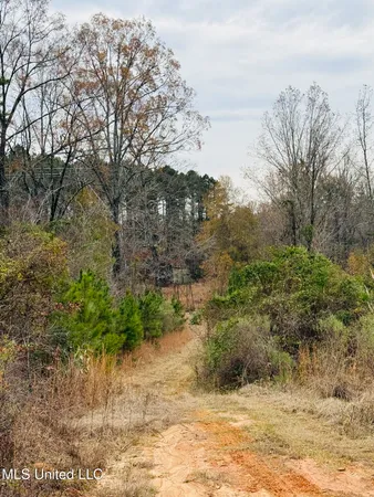 $246,750 | 1445 Parsons Road, Raymond, MS 39154