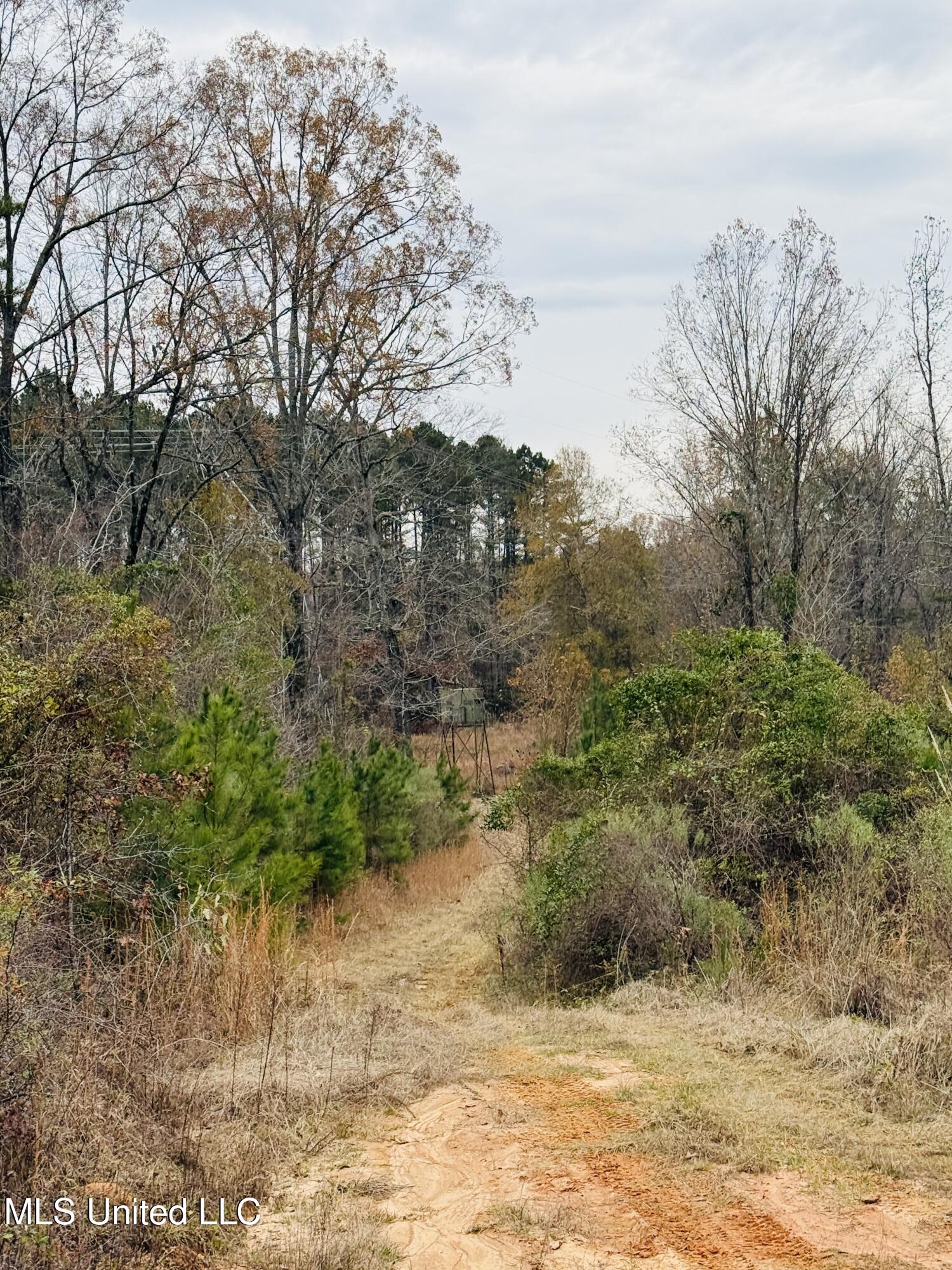 1445 Parsons Road Raymond, MS 39154 - Photo 16 of 56 Photo Dec 17 2025, 3 58 18 PM